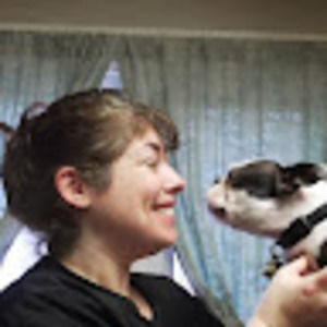 Meet your Posher, Toba